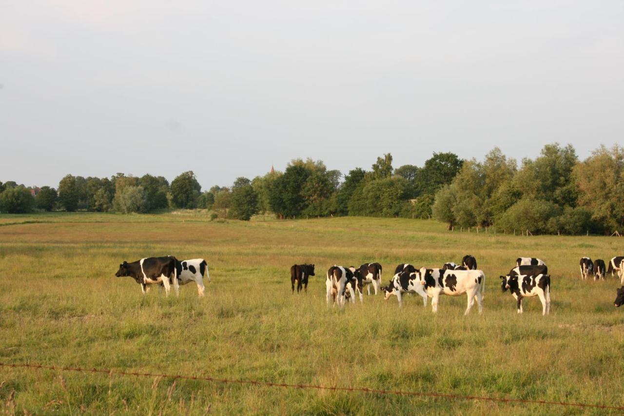 Garni Auszeit Ostseebad Boltenhagen